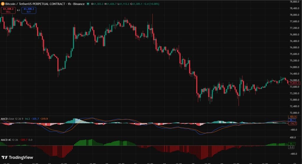 MACD Trading Strategy