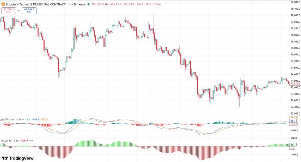 MACD Trading Strategy